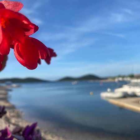 Amore del Mare, seaside family pace, free parking&wifi Drage Esterno foto