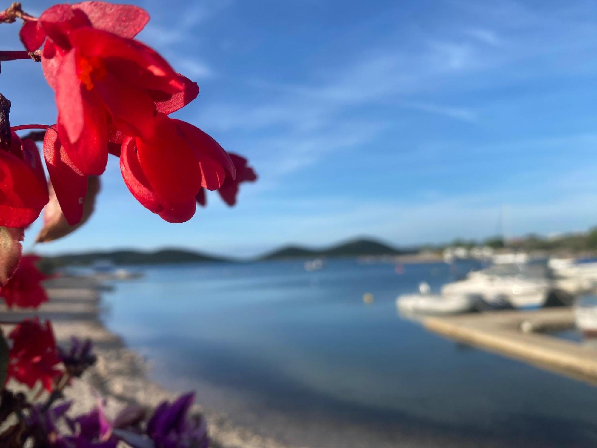 Amore del Mare, seaside family pace, free parking&wifi Drage Esterno foto
